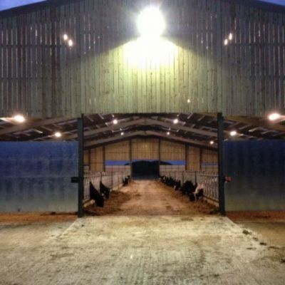Cow Shed New Yard Lighting
